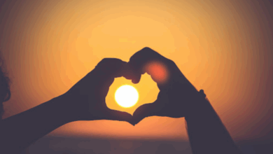 فكرة رواية السيدة الأولى لسوما العربي