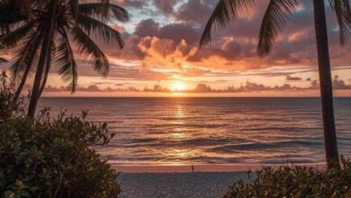 قلوب على شاطئ الانتظار