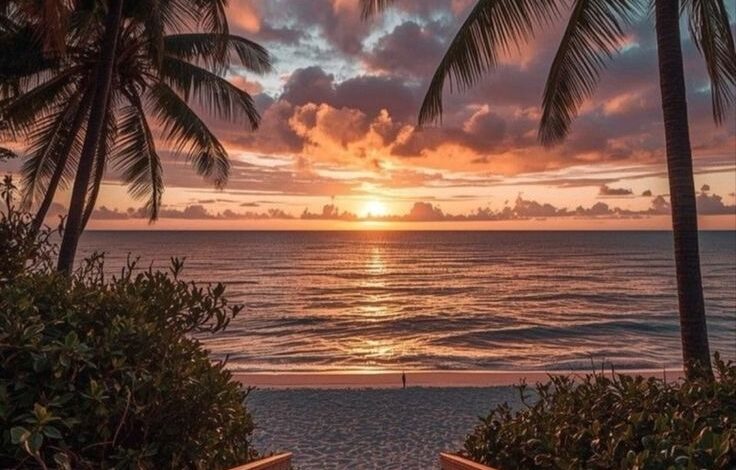 قلوب على شاطئ الانتظار