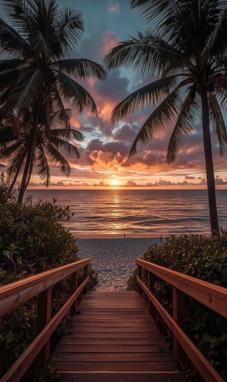 قلوب على شاطئ الانتظار